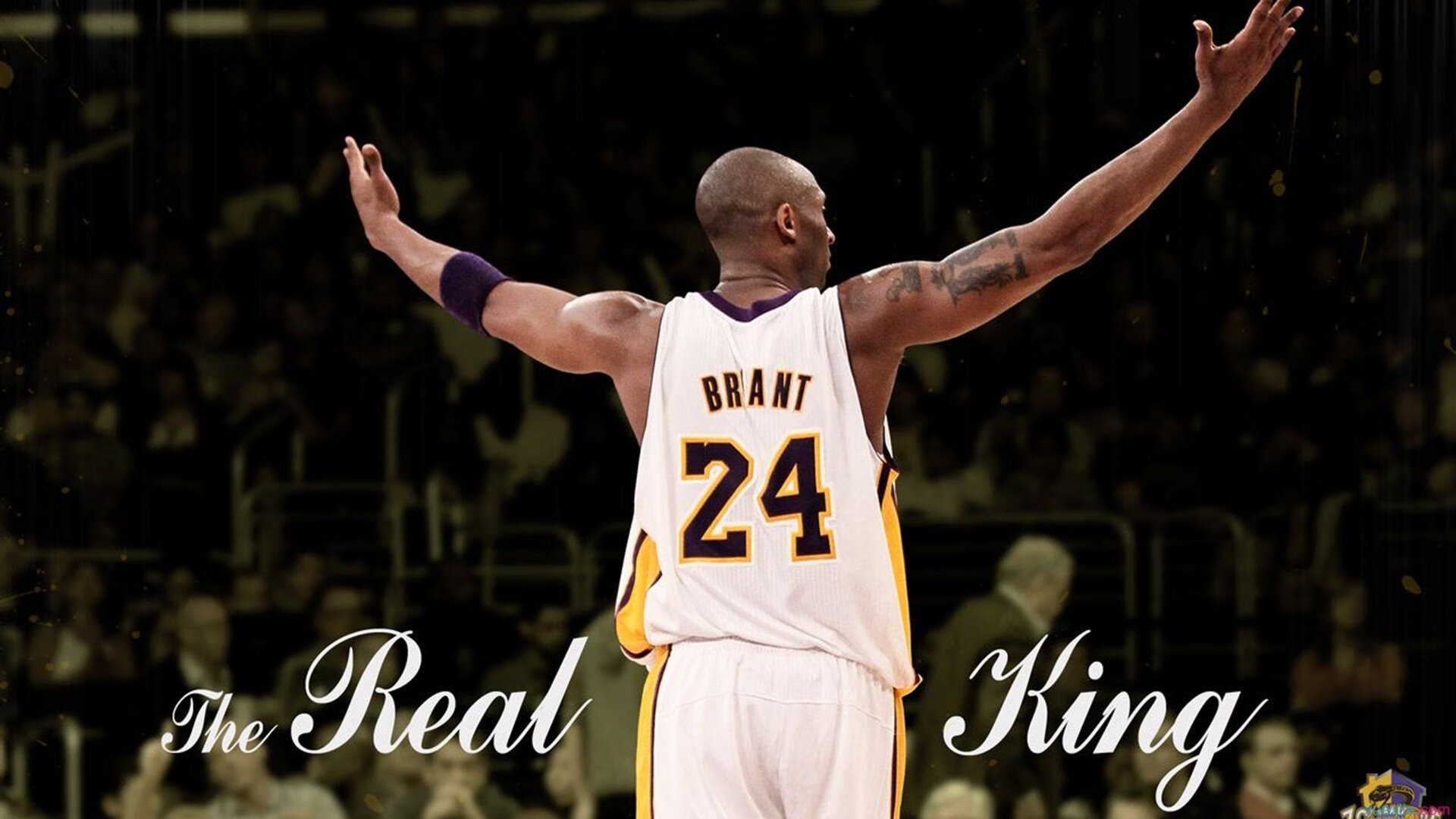 开云体育平台APP-德甲争冠战之夜，当布鲁诺的满分评分，照见足球的孤独本质